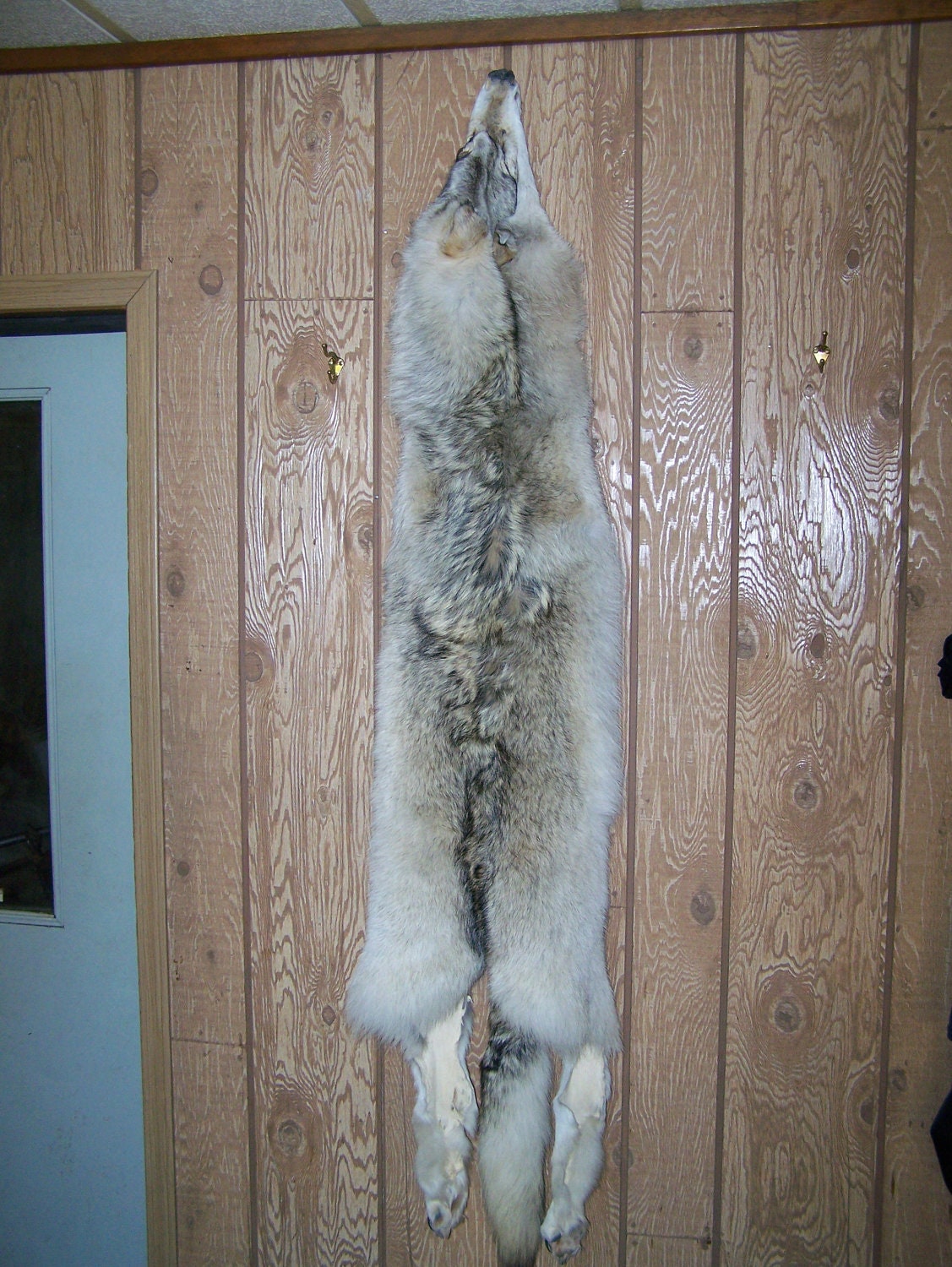 Tanned Alaskan Arctic Wolf Fur Pelt by KwikpakFur on Etsy