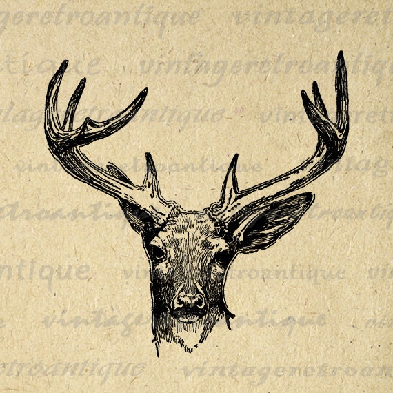 vintage deer clip art - photo #10