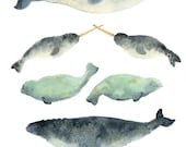 Whale Sandwich Print