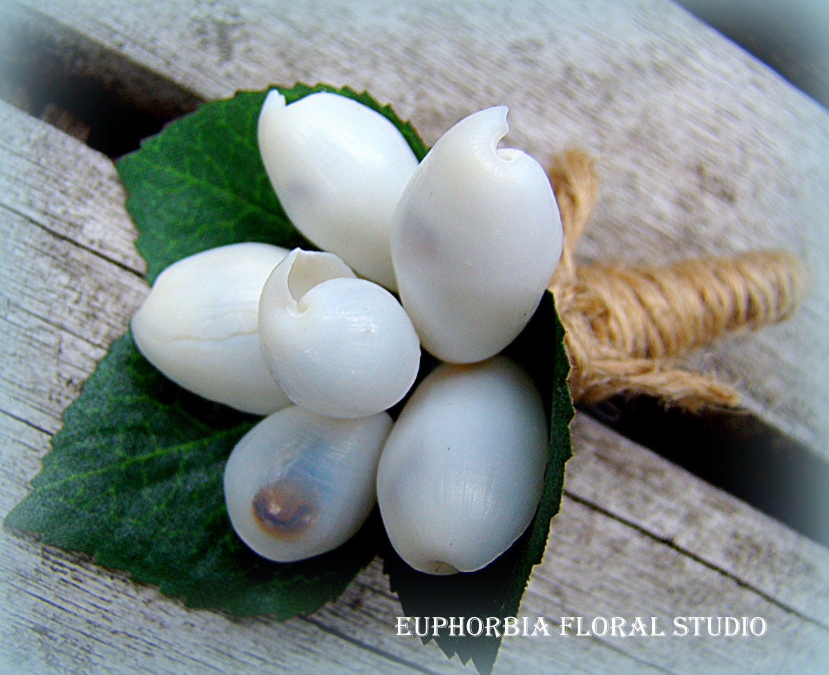 White Boutonniere, Shell, Beach,  Nautical, Wedding, Groom, Shell Flower