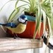 Fabric species bird- BLUE TIT