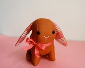 Brown Bunny