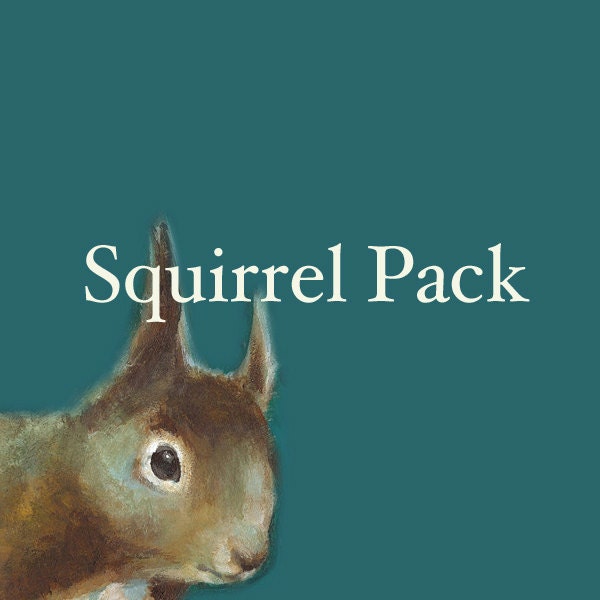Squirrel Cards-"Squirrel Pack" 5 different squirrel cards with envelopes