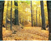 Autumn country lane, On Sale, 11x17, Original, Signed, Fine Art photography, autumn roads, dirt roads, Michigan art