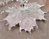 Silver Plated Sugar Maple Leaf Pendant Necklace on 20" Chain