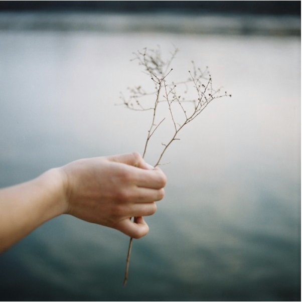 Souvenir -  8 x 8 Fine art photograph. Woman, hand, nature. Home decor, home office.