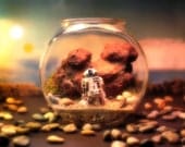 R2D2 on Tatooine - Star Wars Terrarium World
