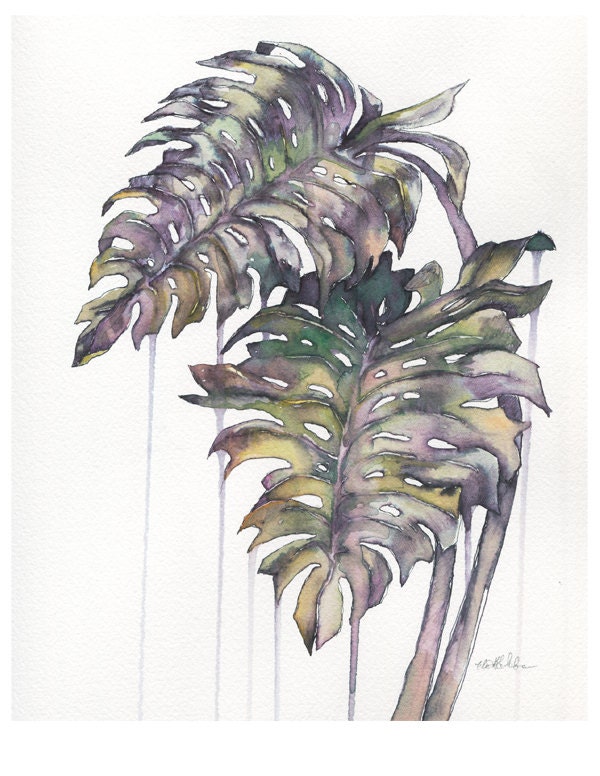 Limited Edition Archival 8x10 Print -- Monstera, Watercolor