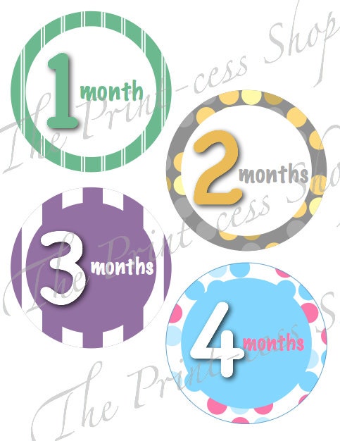 Monthly Baby Milestone Tummy Tags in PDF Format Il_570xn