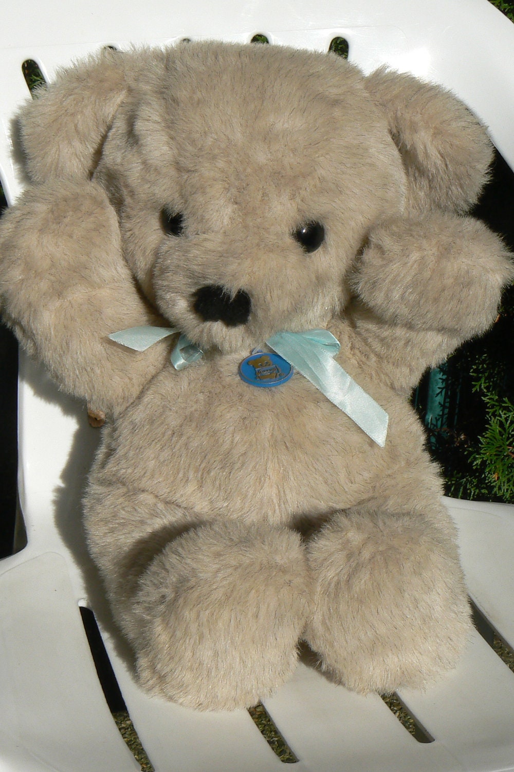 dakin teddy bear