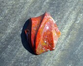 Redbeard