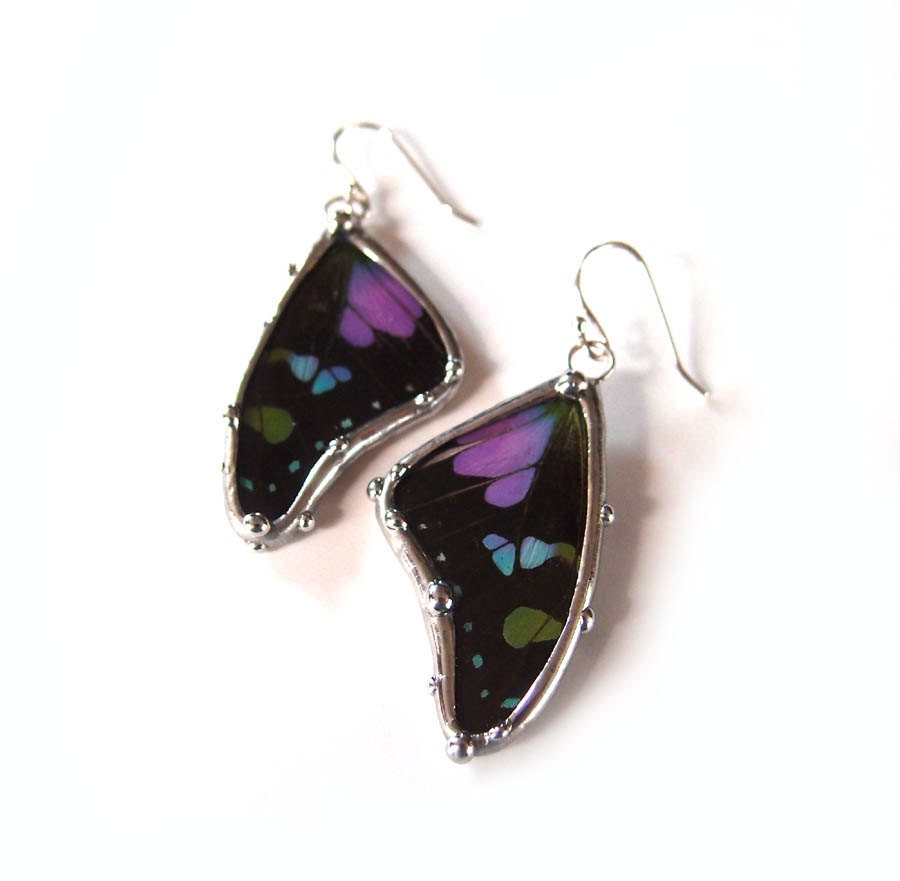 Butterfly Wing Earrings - Real Butterfly Jewelry