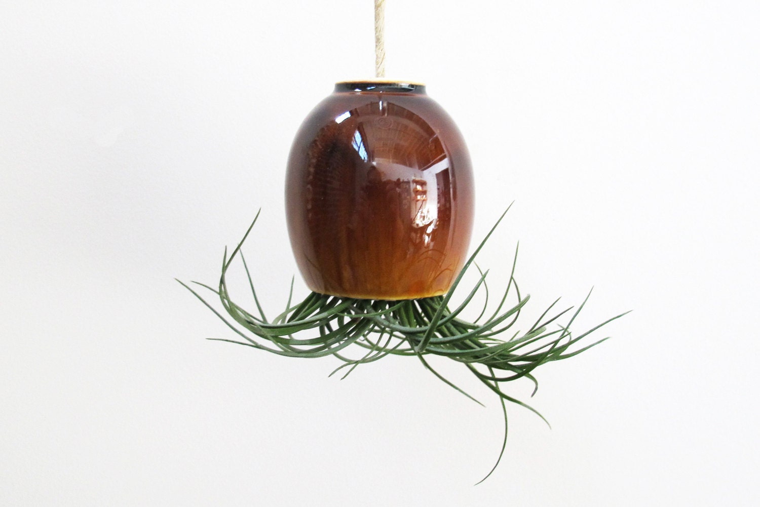 hanging air plant pod planter vase - Stunning Root Beer Celadon