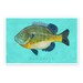 Bluegill Art Print - Freshwater Fish Art - 8" x 12" - Fish Decor - Beach House Decor - Man Cave Art for Dad - Fish Gifts