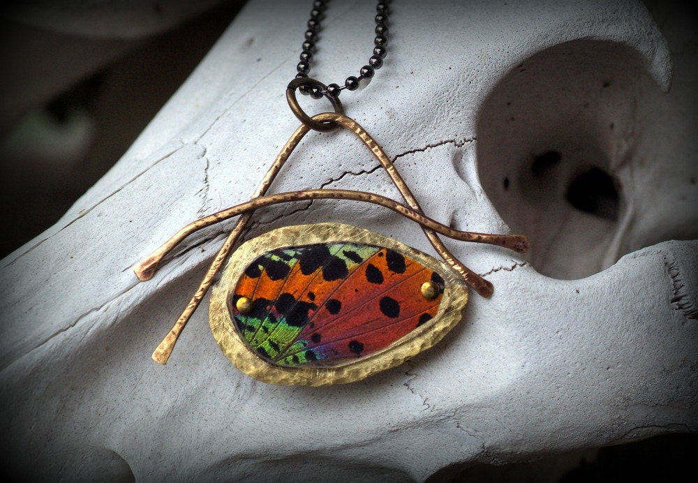 Sensational Sunset - Butterfly Wing Pendant