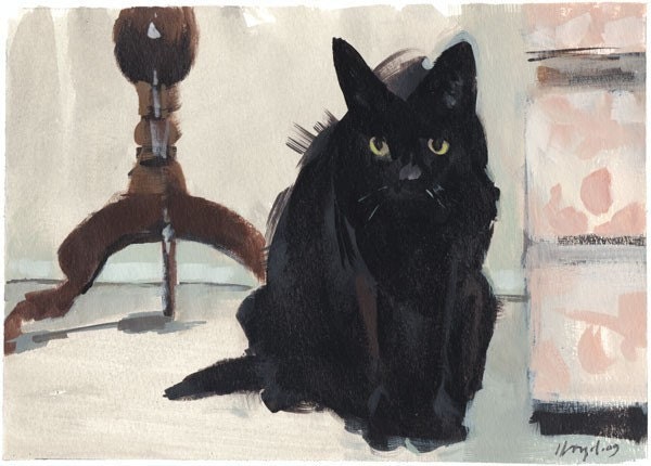 Animal Print Black Cat 5x7 on 8x10 - Black Cat by David Lloyd - lloydgallery