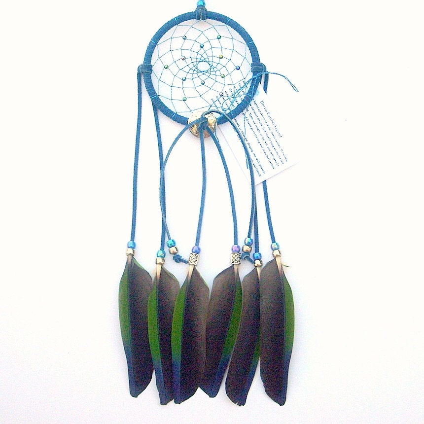 Cobalt Blue Dream Catcher, Amazon Parrot Feathers