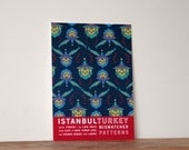Istanbul Turkey Travel Poster