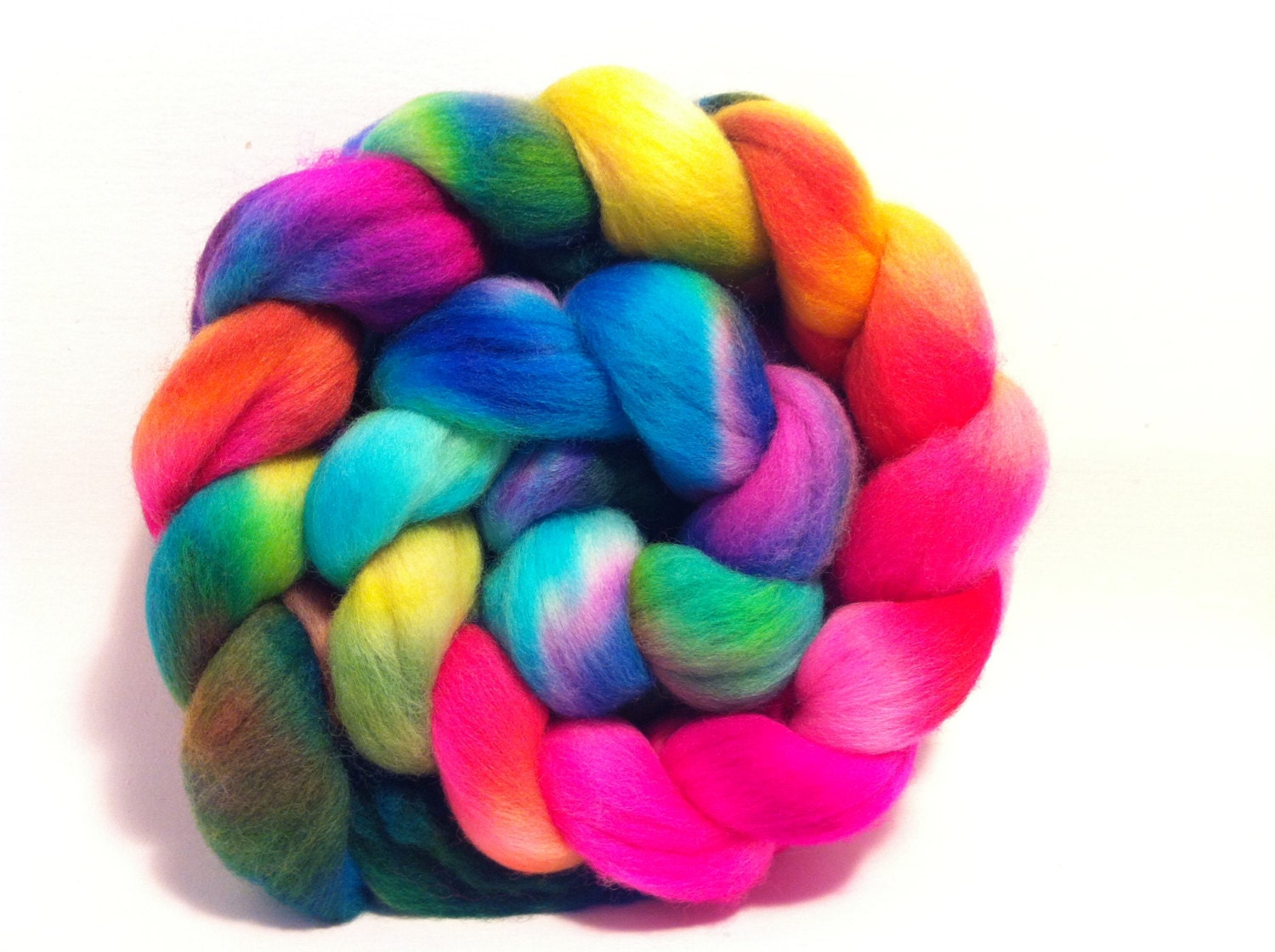 Parrot on your Shoulder - BFL Polwarth SW Merino fiber for spinning and felting