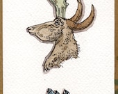 A doodle a day