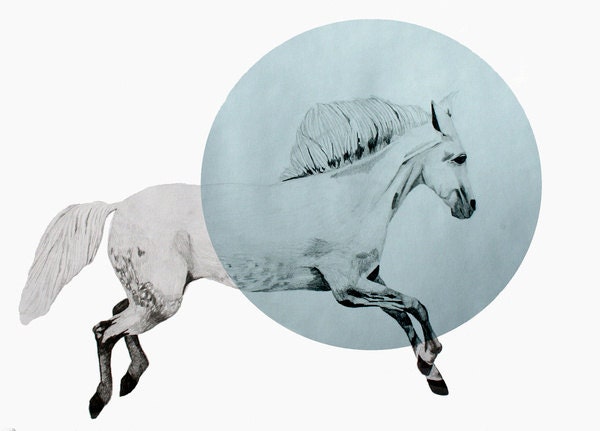 Horse print 8x10