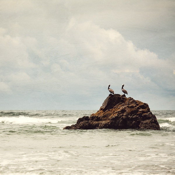 The Pelican Brief - Pacific Ocean, Sea, Coast, Landscape Photography, Nautical, Birds, Nature, Summer, Simple, Minimal, Pale Muted