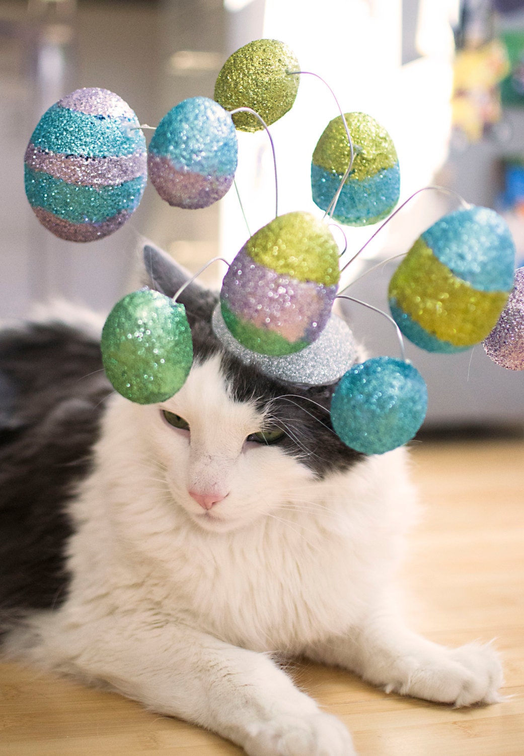 Easter Cat Hat / The Easter Egg Hunt Cat Fascinator