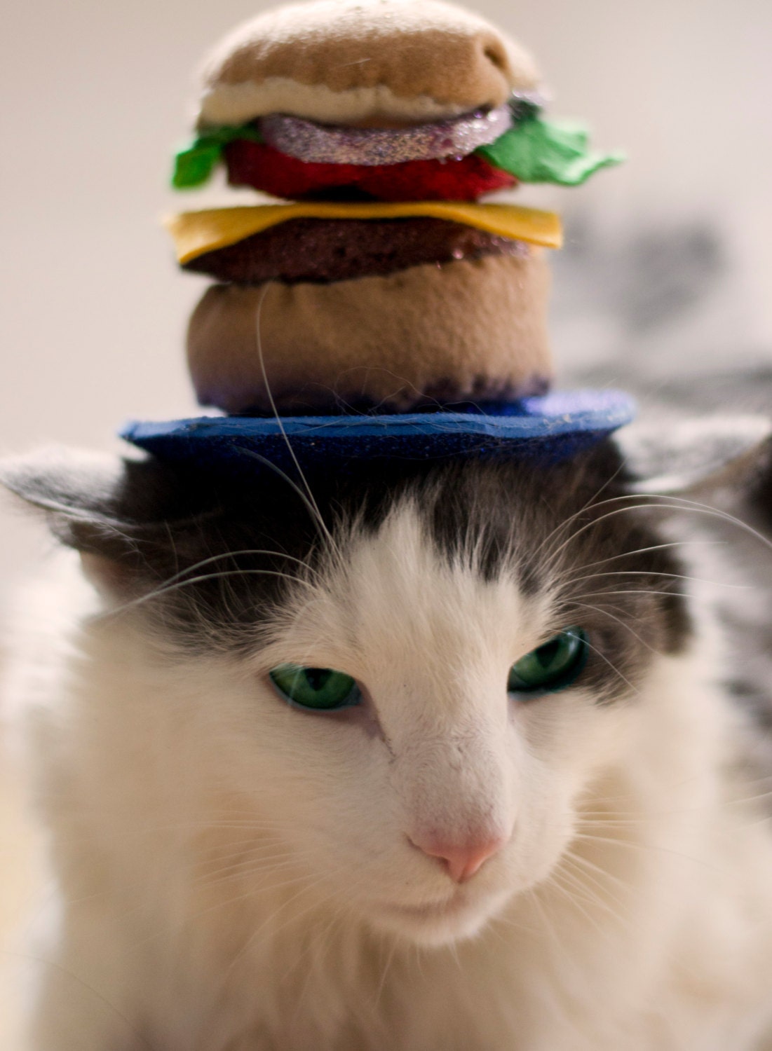 The Great Cheeseburger Cat Hat