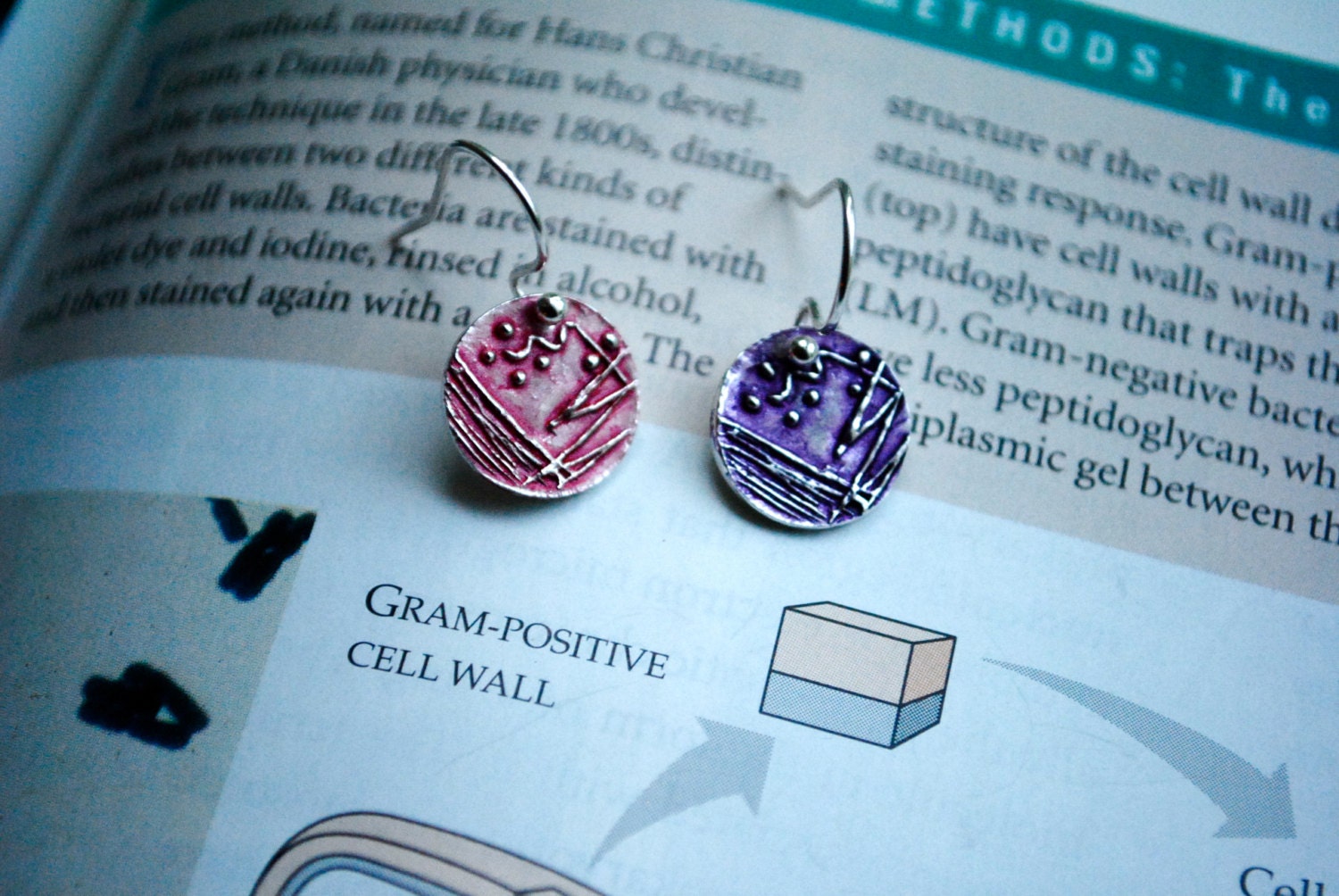 Petri Dish Earrings: Gram Negative and Gram Positive Bacteria
