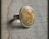 Fossilized Coral, Creativity Ring