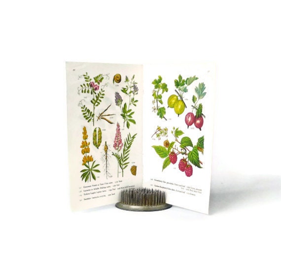 Metal Pin Flower Frog