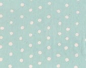 Nani Iro Kokka Pocho Japanese Fabric - white on minty blue