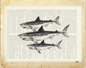 sharks - swimming sharks printed on page from vintage dictionary