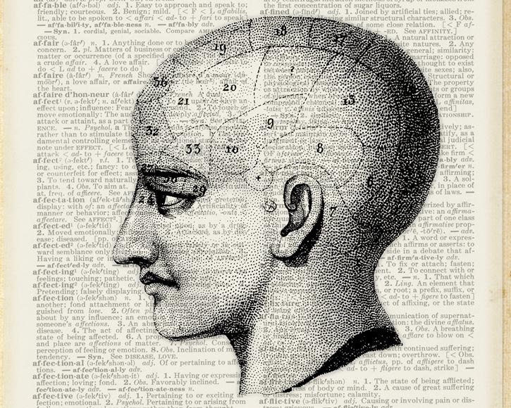 Human Skull - Medical illustration depicting human skull - printed on page from vintage dictionary - NEW