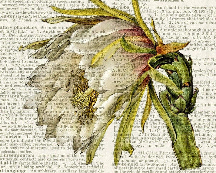 vintage cactus flower I printed on vintage page