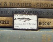 Soldered Glass Art Pendant Narwhal with Vintage Dictionary Illustration
