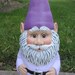 Garden Gnome in Purples