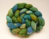 Hidden Lagoon Hand-Dyed Mixed BFL/Silk Top 4.1oz