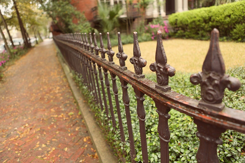 Wrought Iron Fence - 11x16 Fine Art Print - Nostalgic - Nostalgia - Savannah Georgia