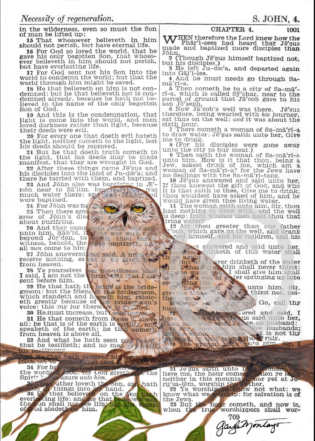SNOWY OWL Art Print by Gayle Montayo BIBLE Page S John 4 Necessity of Regeneration Art print White Snow Owl bird