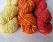 Shawl Triad: Three Skeins Aerialist Sock Yarn  Merino Superwash Colors Sunshine, Orange Juice and Sour Cherry