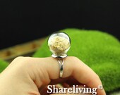 2 set  20mm Clear Glass Globe Bottle With  Silver Ring  RI807D