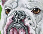 ACEO OOAK Original Canvas Magnet White English Bulldog Dog Art-Carla Smale