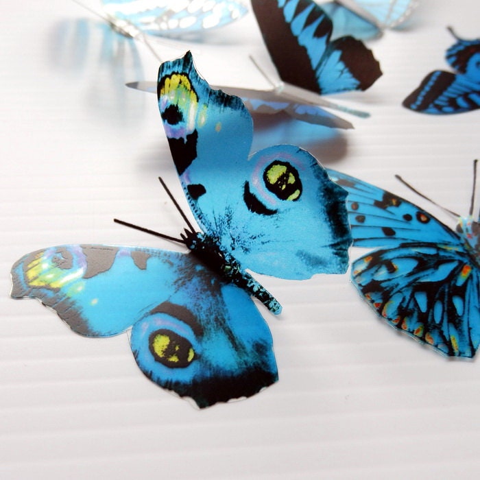 12 x Blue 3D Butterflies great for Weddings, Crafts