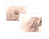 Two Dahlia Photographs, Monochromatic Wall Decor,  Soft Sepia Pink Flower  Still Life