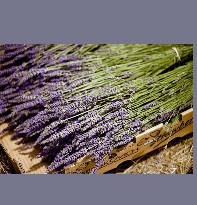 Custom Order for Ashley  and Doug's Wedding Lavender Table Arrangements