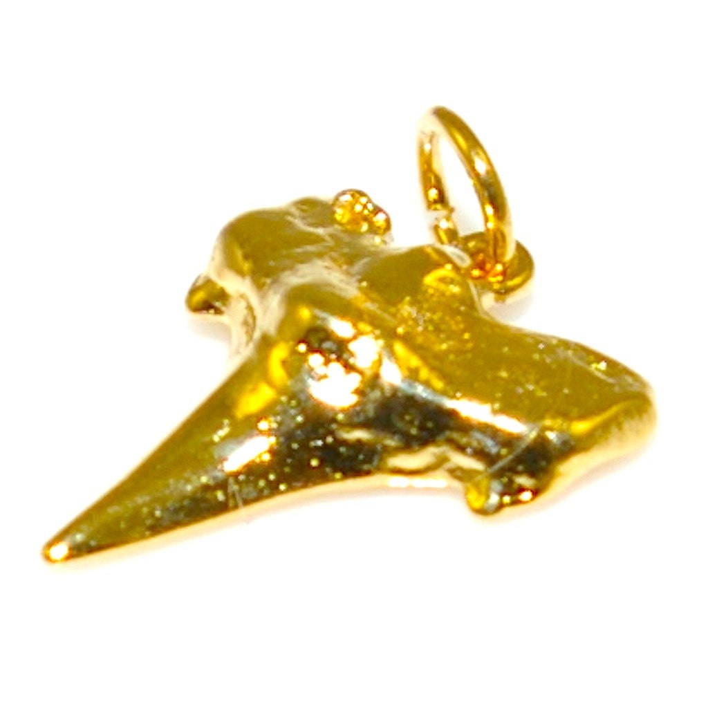 Gold Dipped Shark Tooth Fossil Pendant