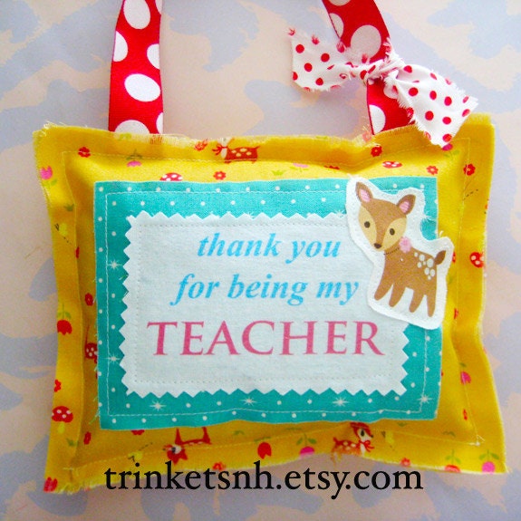 Teacher Appreciation Thank You Gift Pillow