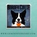 Border Collie Coffee Company Company original illustration graphic artwork giclee archival signed print 12 x 12