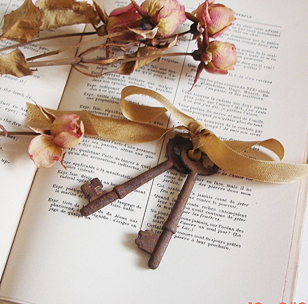 Antique Skeleton Keys....Rusty Vintage Keys Choice of 2
